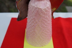DSC06175