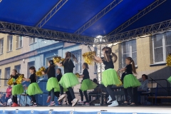 DSC06265