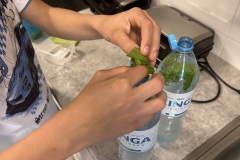 Uczen-robiacy-lemoniade